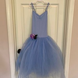 Flower Baby Blue Ballet Costume